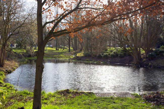 Ulrich simons - Rosenteich